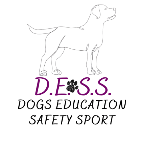 DOGSEDUCATION.it